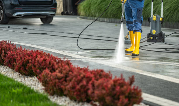 Best Driveway Pressure Washing  in Ol, LA